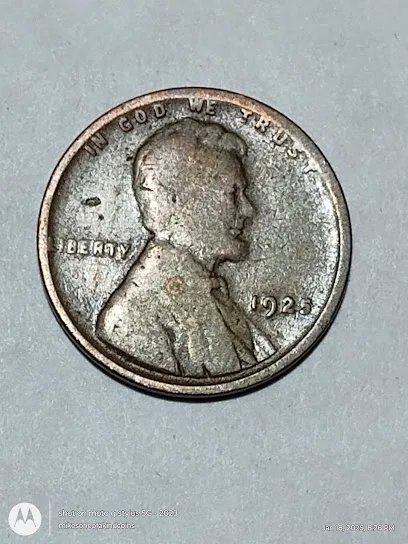ANACS Coin Grading Service